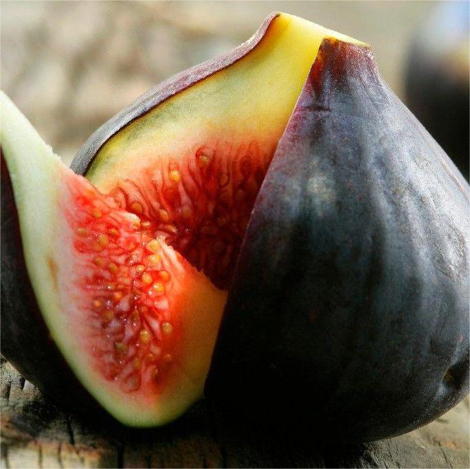 Semințe de smochine SweetHarvest