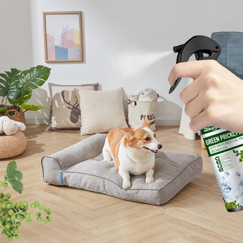 ⚡Vânzare limitată Cumpără 2 Primești 1 Gratis ⚡-🧑⚕️Spray puternic pentru îndepărtarea acarienilor