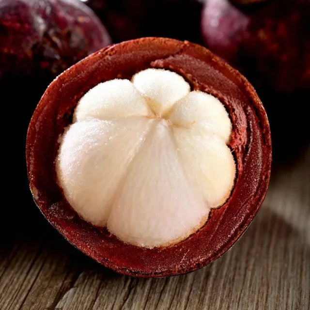 Mangostan