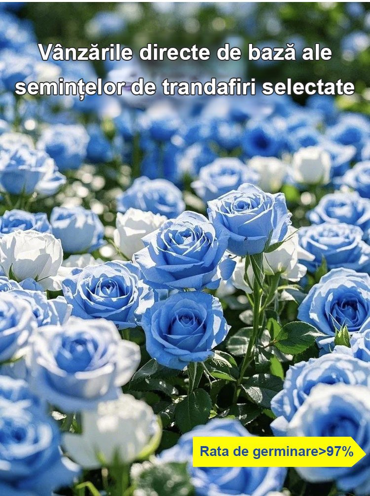 【Aduce dragoste și noroc】Semințe de trandafir în șapte culori
