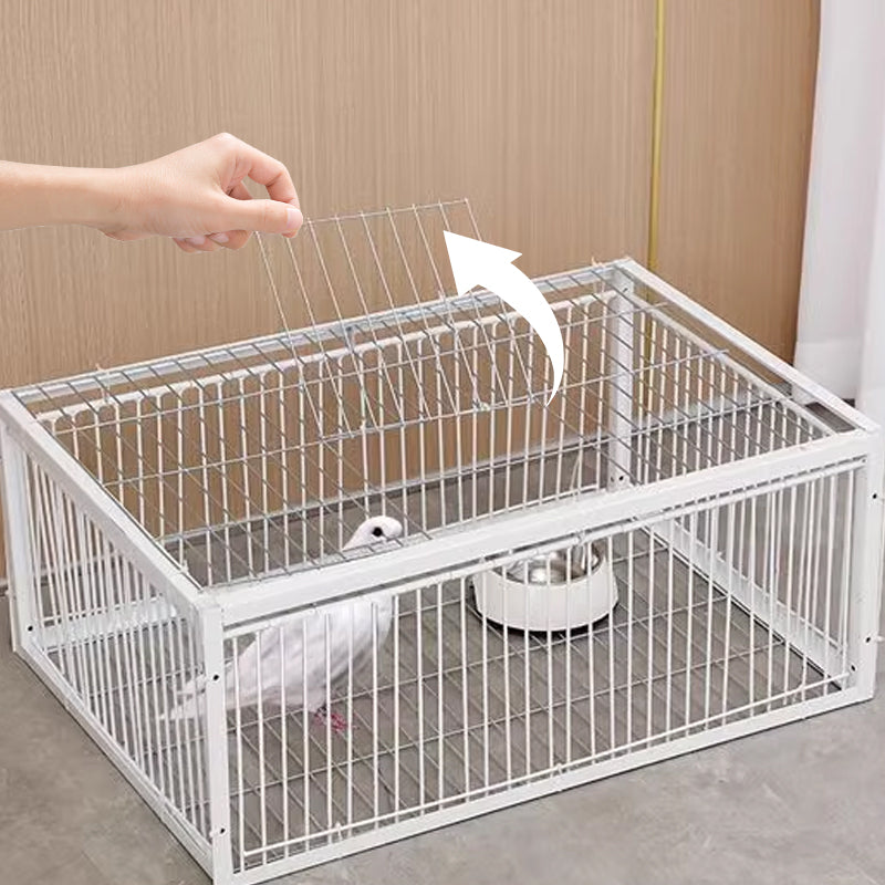 🌾2024 Produse noi🐦Cușcă pentru păsări AutoTrap - numai intrare, fără ieșire, cu bază