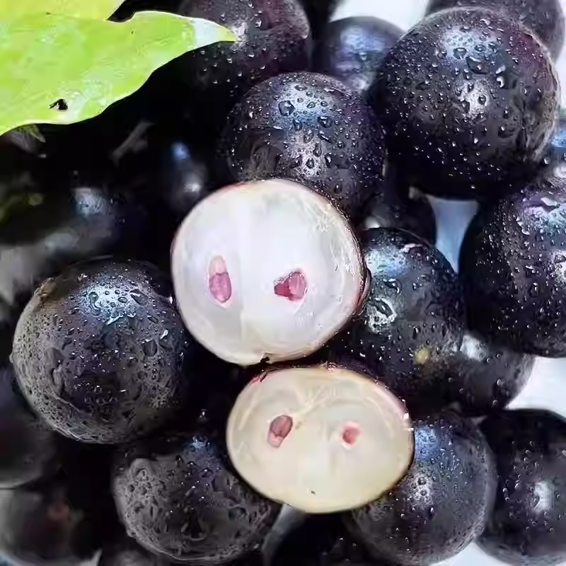 Nasiona winogron Jabuticaba
