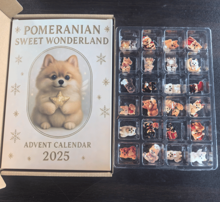 Pomeranian Sweet Wonderland Adventskalender 2025