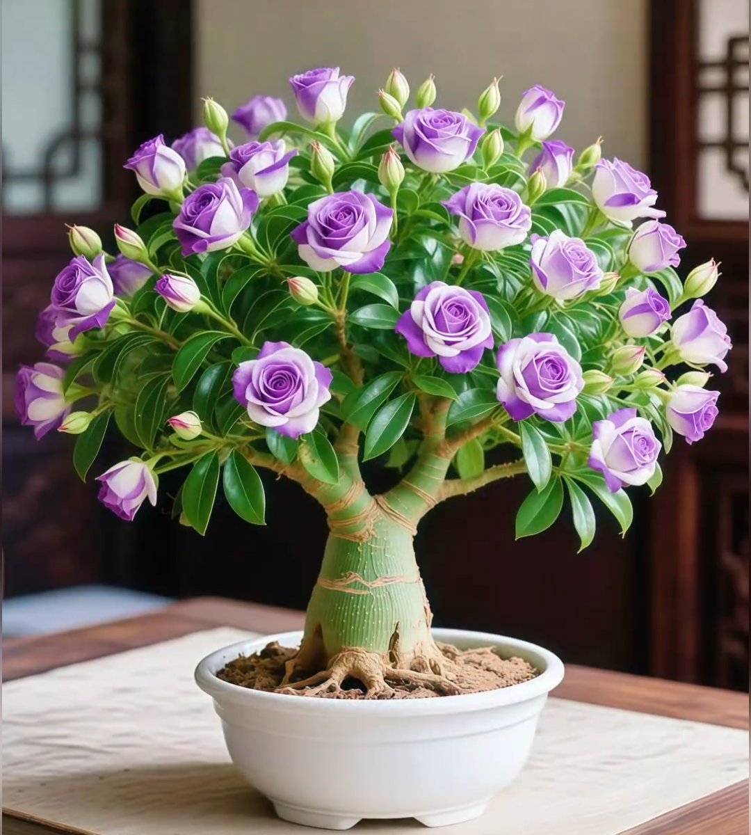 🌵 Trandafir de deșert – flori exotice, frumusețe naturală! 🌺✨