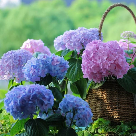 Flori frumoase✨ ȘTÂLARE LA CALD - REDUCERE 45% - flori artificiale de hortensii pentru exterior✨