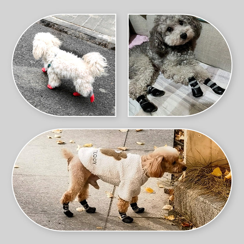 🐶2 pary antypoślizgowych wodoodpornych skarpetek dla psów