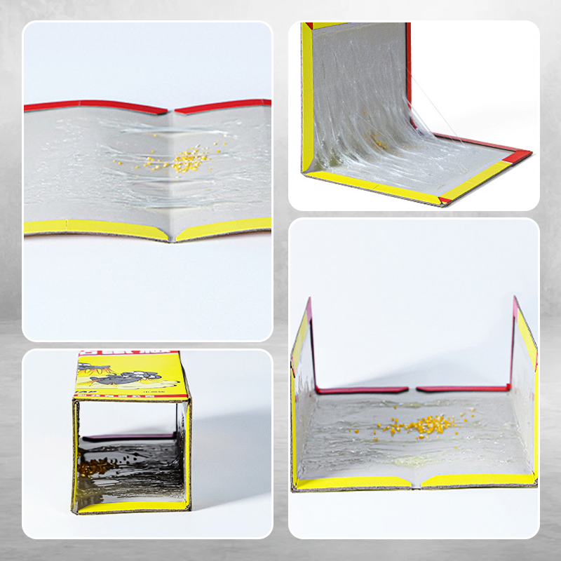 Bardzo duże pułapki klejowe na szczury