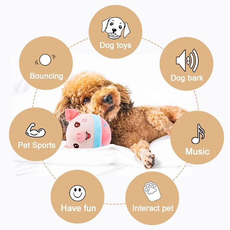🐶Jucărie de pluș pentru animale de companie activă în mișcare